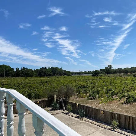 Tatil Evi Adega Monte Maneta