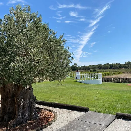 Adega Monte Maneta * Setúbal