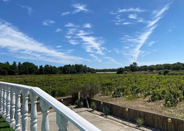 Semesterbostad Adega Monte Maneta