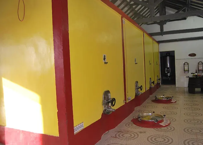 Semesterbostad Adega Monte Maneta *