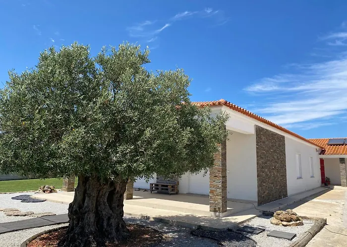 Adega Monte Maneta Setúbal