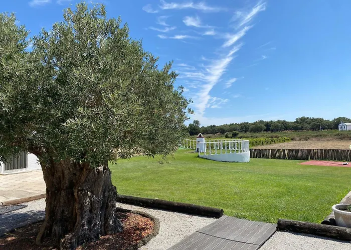 Adega Monte Maneta * Setúbal